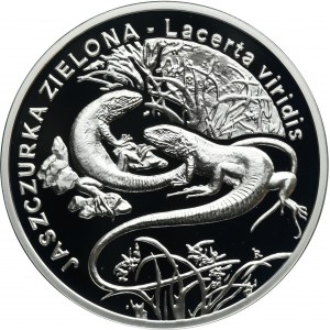 20 złotych 2009 Jaszczurka Zielona