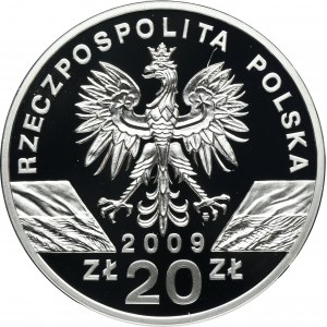 20 złotych 2009 Jaszczurka Zielona