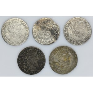 Lot, Sigismund III Vasa and John II Casimir, 6 Groschen (5 pcs.)