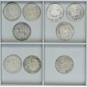 Lot, Sigismund I the Old, 1/2 Groschen Vilnius (9 pcs.)