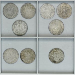 Lot, Sigismund I the Old, 1/2 Groschen Vilnius (9 pcs.)