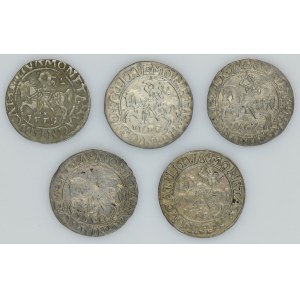 Lot, Sigismund II August, 1/2 Groschen Vilnius (5 pcs.)