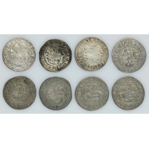 Lot, Sigismund I the Old, 1/2 Groschen Vilnius (8 pcs.)
