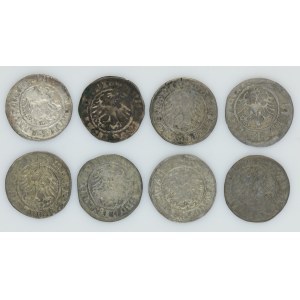 Lot, Sigismund I the Old, 1/2 Groschen Vilnius (8 pcs.)
