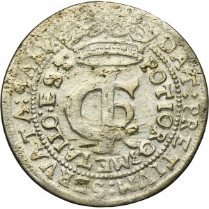 John II Casimir, Tymf Krakau 1665 AT - SALV