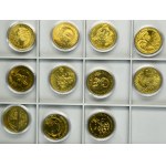 Zestaw, 2 złote GOLD NORDIC (75 szt.)