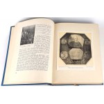 BYSTROŃ- HISTORY OF CUSTOMS IN OLD POLAND. century XVI-XVIII hundreds of illustrations GOLDEN COVER