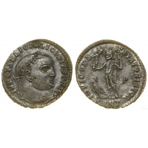 Roman Empire, follis, (313), Heraclea
