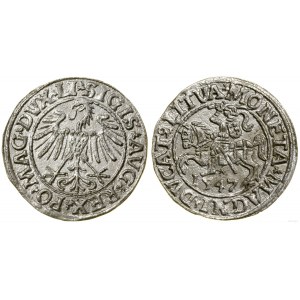 Polska, półgrosz, 1547, Wilno