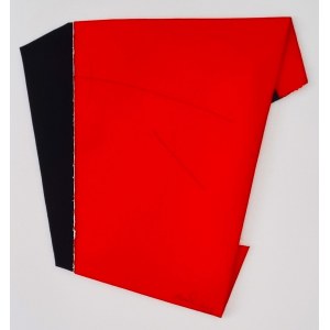 BERLINGERI CESARE Cittanova 1948 Rosso e nero Acrilico e pigmento su cartone piegato cm 42x45 del 2018. Firma e anno sul fronte in basso a destra. Pubblicato a pag. 47 del catalogo Cesare Berlingeri On Paper. Autentica su fotografia a cura della galler