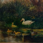 Glimpse of river with ducks and trees