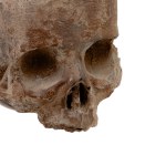 Memento mori in plaster