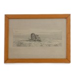FILIPPO PALIZZI In the desert, multiple on paper