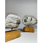 Jacek drzymala, Stone fish - a couple (large)