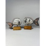 Jacek drzymala, Stone fish - a couple (large)
