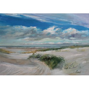 Henadzy Havartsou, Wybrzeże bałtyku