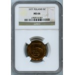 PRL, 5 złotych 1977 - NGC MS66
