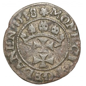 Zygmunt I Stary, Szeląg 1538, Gdańsk