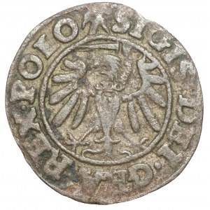 Zygmunt I Stary, Szeląg 1538, Gdańsk