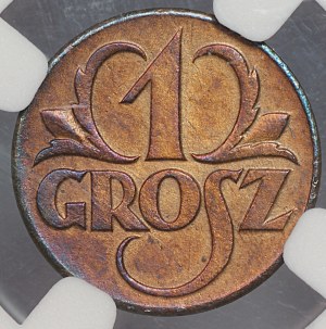 II RP, 1 Pfennig 1923 - NGC AU DETAILS gereinigt