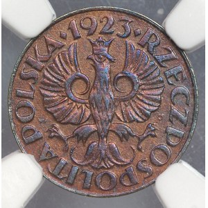 II RP, 1 penny 1923 - NGC AU DETAILS cleaned
