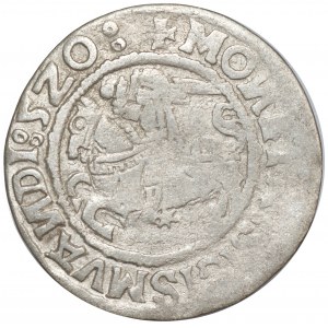 Zikmund I. Starý, půlpenny 1520, Vilnius