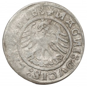 Zikmund I. Starý, půlpenny 1520, Vilnius