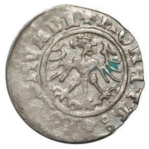 Zygmunt I Stary, Półgrosz 1511, Kraków