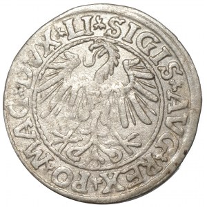 Zygmunt II August, Półgrosz 1547, Wilno - LI/LITVA