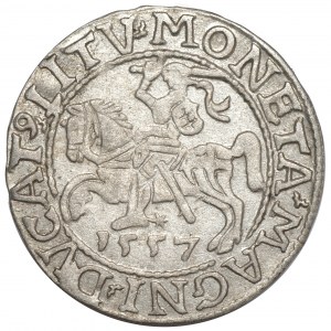 Sigismund II Augustus, Half-penny 1557, Vilnius - LI/LITV