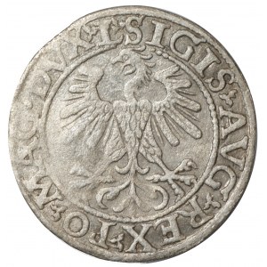 Zikmund II August, půlgroš 1560, Vilnius - L/LITV