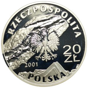 III RP, 20 złotych 2001, Kopalnia soli w Wieliczce