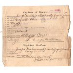 Dokument notarialny z 1910 roku, tłumaczenie z angielskiego na rosyjski, Konsulat Rosyjski w Chicago