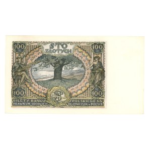 II RP, 100 złotych 1934, seria C.K.