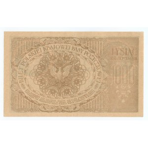 1.000 marek polskich 1919, Ser. D