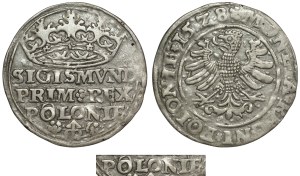 Sigismund I the Old, Penny 1528, Cracow - RARE O