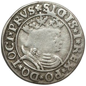 Zygmunt I Stary, Grosz dla ziem pruskich 1531, Toruń