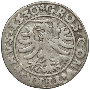Zygmunt I Stary, Grosz dla ziem pruskich 1530, Toruń
