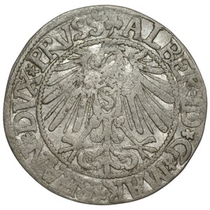 Ducal Prussia, Albrecht Hohenzollern, Grosz 1544, Königsberg
