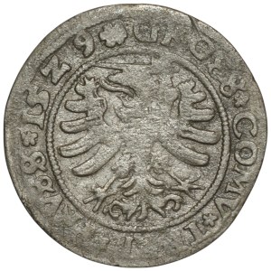 Zygmunt I Stary, Grosz dla ziem pruskich 1529, Toruń