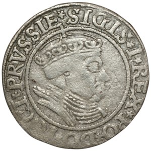 Zygmunt I Stary, Grosz dla ziem pruskich 1534, Toruń