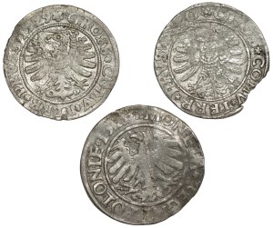 Sigismund I the Old, Set of pennies