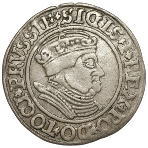 Zygmunt I Stary, Grosz dla ziem pruskich 1535, Toruń