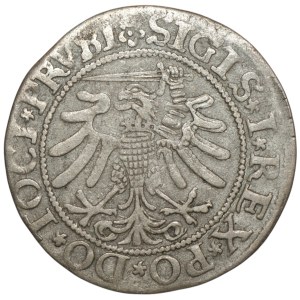 Sigismund I the Old, Penny 1533, Elbląg