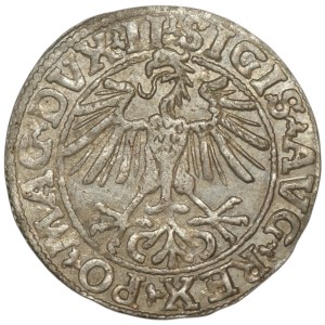 Sigismund II Augustus, Half-penny 1550, Vilnius - LI/LITVA
