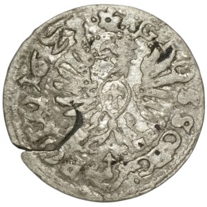 Sigismund III Vasa, 1623 penny, Bydgoszcz - GEG