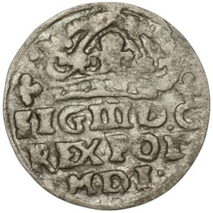 Sigismund III Vasa, 1624 penny, Bydgoszcz