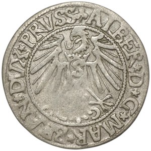 Ducal Prussia, Albrecht Hohenzollern, Grosz 1545, Königsberg