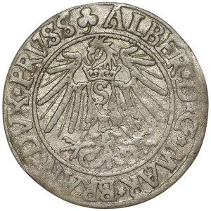 Ducal Prussia, Albrecht Hohenzollern, Penny 1541, Königsberg