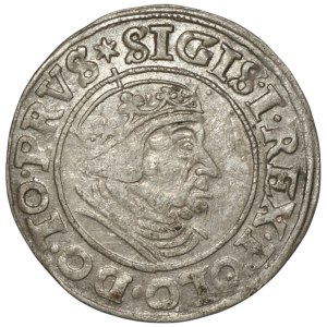 Sigismund I the Old, Grosz 1539, Gdańsk
